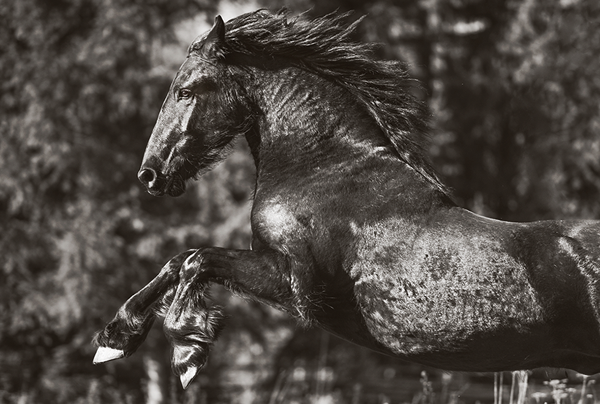 Photo by Malin Wengdahl.