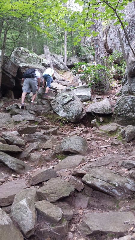 GranWood Explores: 2017 Hike #27: Peoples State Forest - Barkhamsted, CT