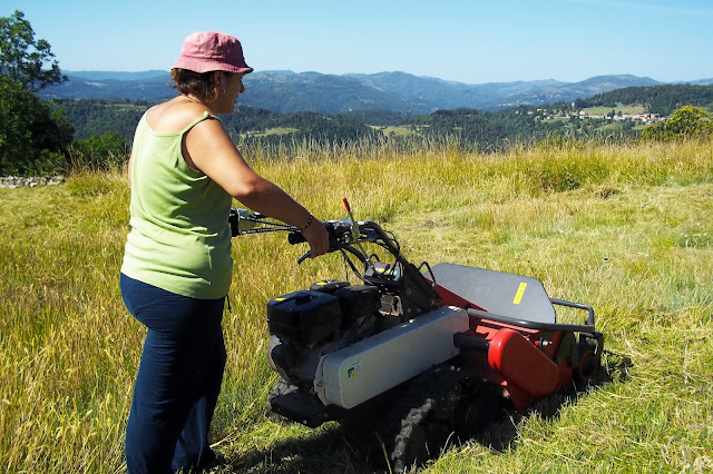 wwoofing wwoof