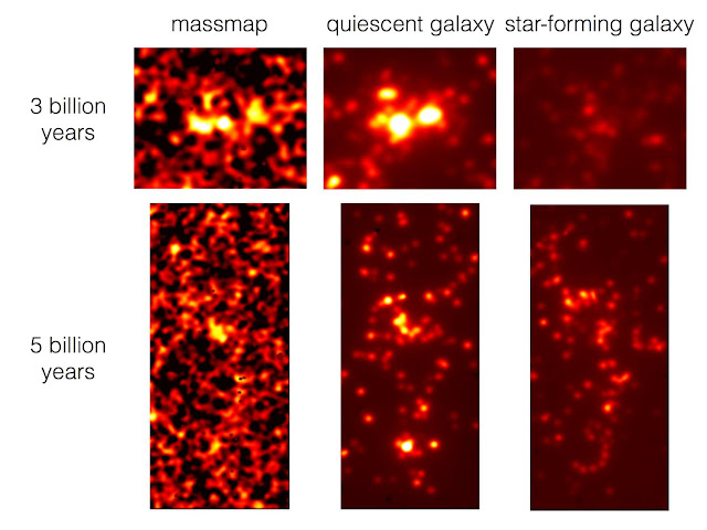 Tracing the cosmic web with star-forming galaxies in the distant universe Tracing the cosmic web with star-forming galaxies in the distant universe