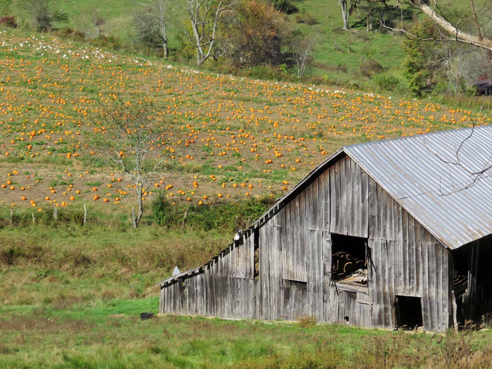 Geographically Yours Independence, Virginia, USA
