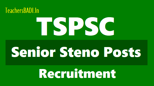 TSPSC Senior Steno posts 2018 Recruitment, Apply Online upto July 2 tspsc senior steno posts 2018 recruitment,apply online upto july 2,tspsc senior stenos online application form,how to apply for tspsc senior stenos recruitment,last date to apply for vros,application fee,senior steno hall tickets results,exam date,answer key