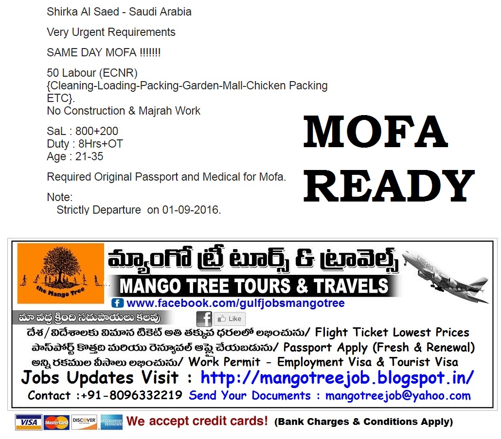 Mango Tree Tours And Travels Mango Tree Tours And Travels