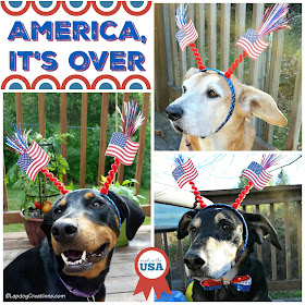 patriotic rescue dogs