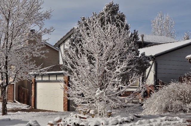 Colorado Springs winter scenes January 2015 coloradoviews.filminspector.com