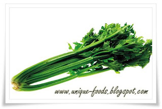 Celery is kind of vegetables which has multifunction. Beside celery could be additional as flavoring others foods such as chicken noodle, meat ball, pizza, and so on. The vitamins of celery could reduce our stiff nerve. The function of this celery is making cool signal to have nice sleep.