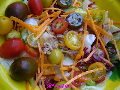 Ensalada+con+trimix+de+tomates+(1).JPG