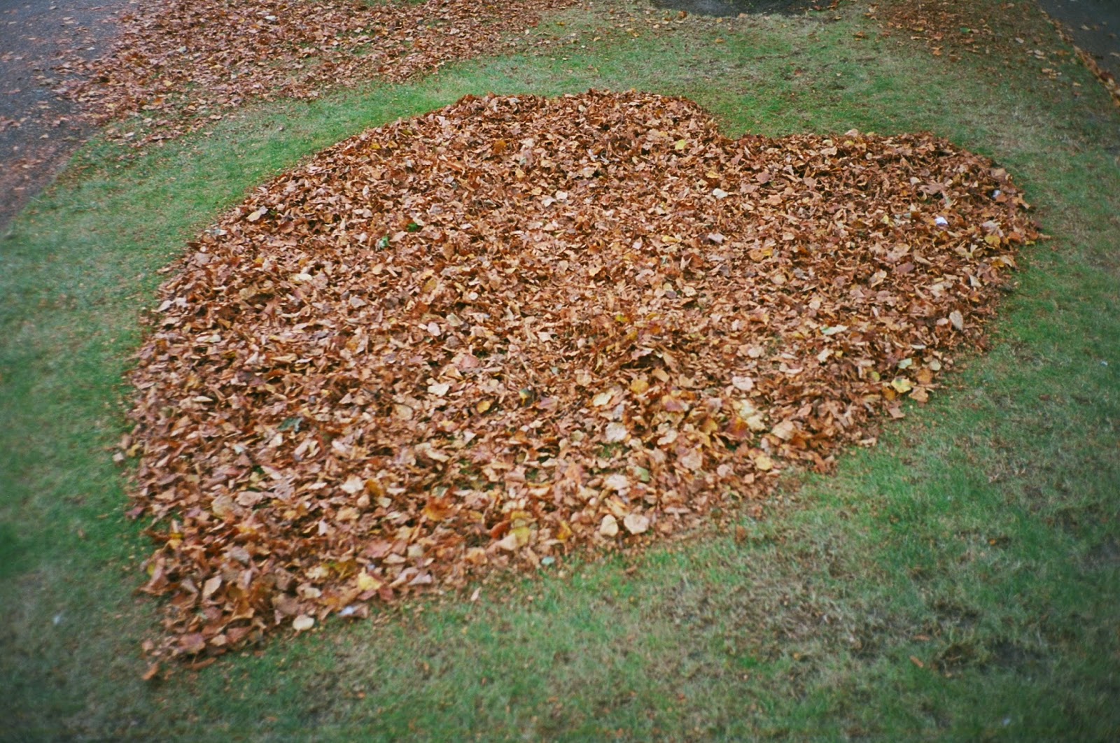 LOVE, SYMBOLS OF LOVE, SCULPTURE IN THE PARK, SITE SPECIFIC ART INSTALLATION, OUTSIDER ART, AUTUMN LEAVES, © VAC 100 DAYS 4 MILLION CONVERSATIONS
