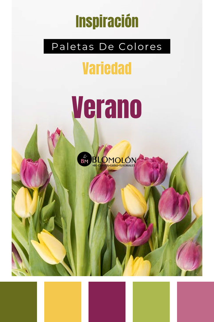 portada verano 1b portada_verano_1b
