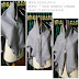 Khimar Arabic Crepe With Rit Jeans Exclusive