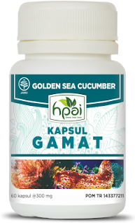 Gamat Kapsul Gamat