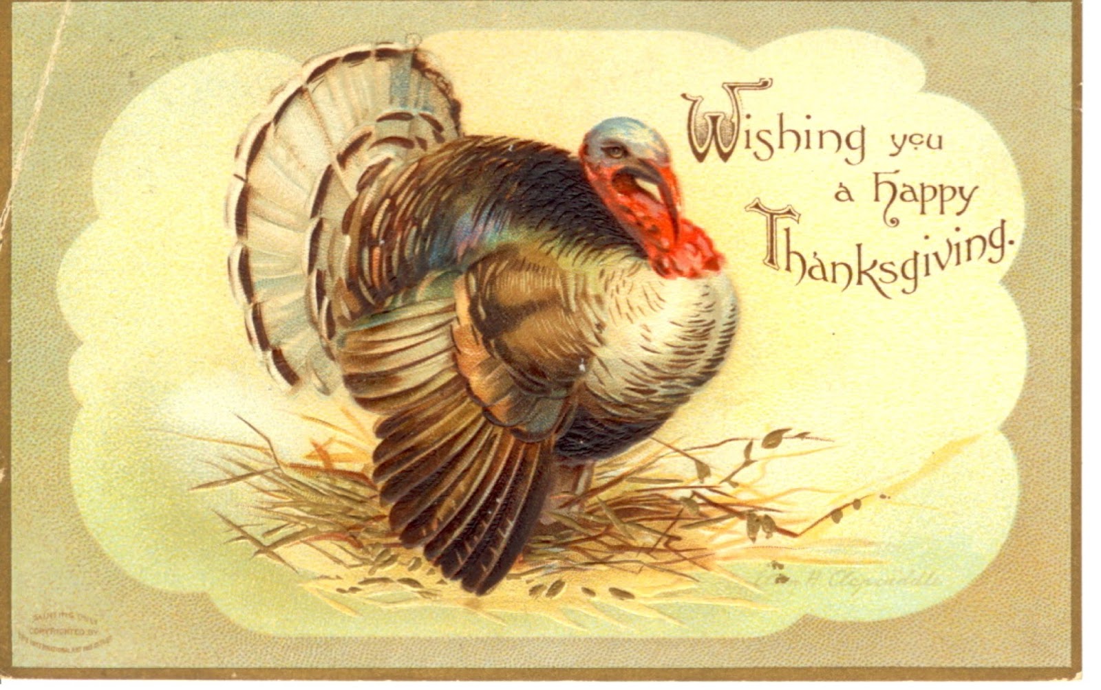 Rural North Carolina History Happy Thanksgiving