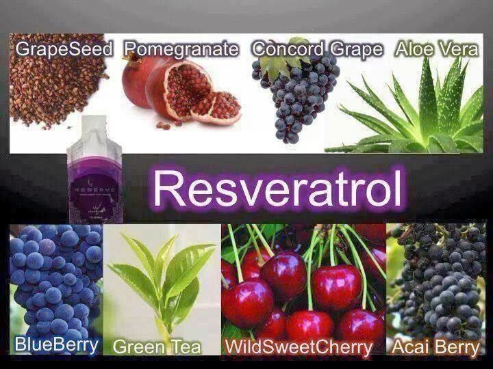 Antioxidant Reserve Antioxidant Fruit Blend