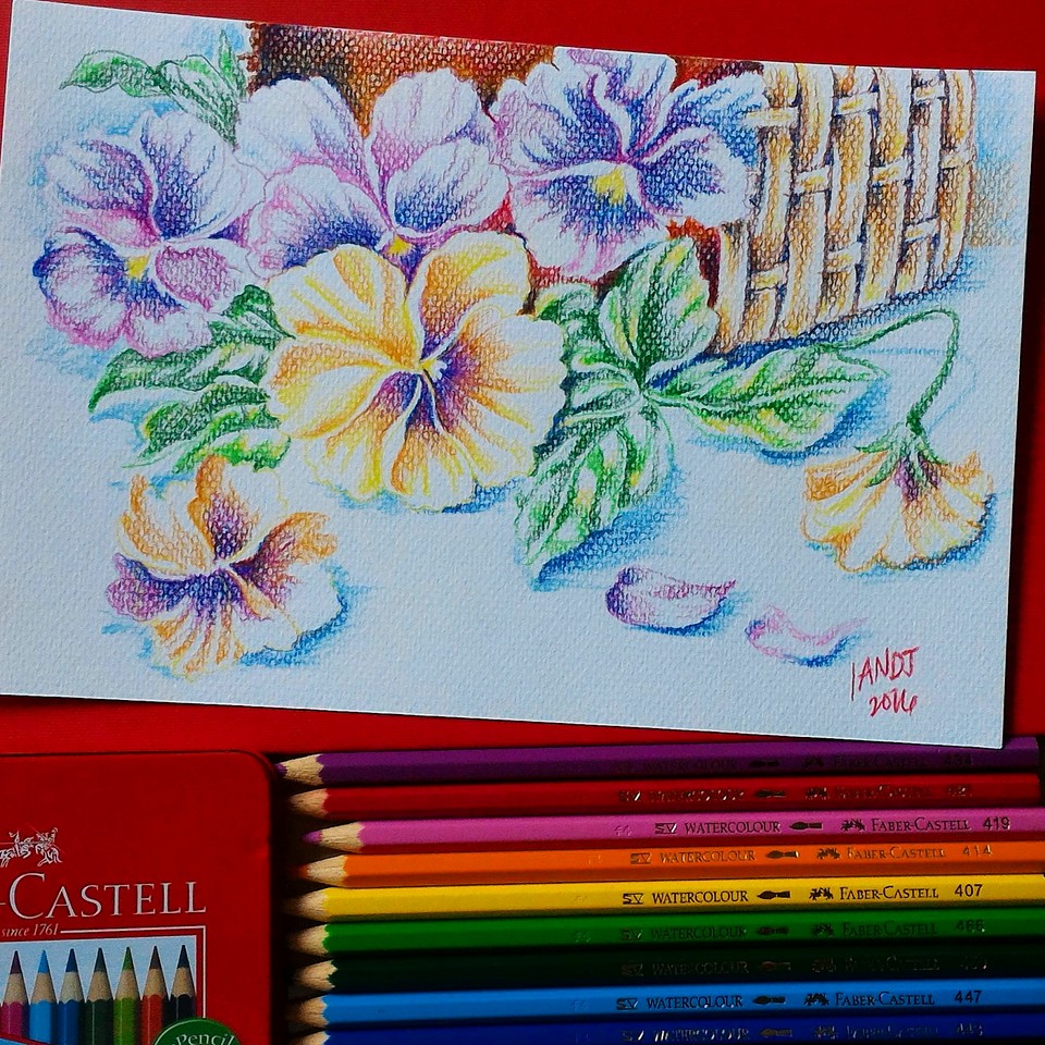 Ravenfox's Haven: Faber-Castell Watercolor Pencils A Fun Way To Start With Watercolors