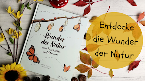 Wunderschönes Sachbuch für Kinder