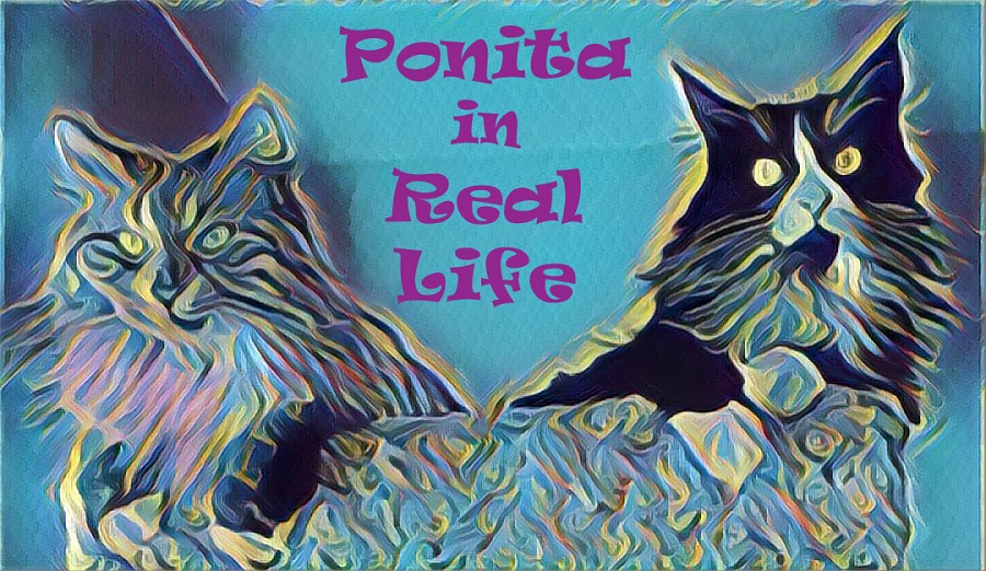 Ponita in Real Life