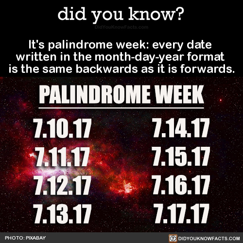 90 Miles From Tyranny This Week Is Palindrome Week Every Date