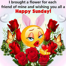 GOOD MORNING GOOD MORNING