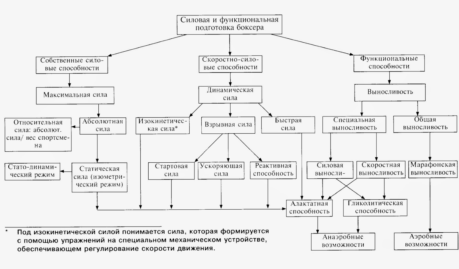 Последовательность действий планирования в системе физического воспитания схема