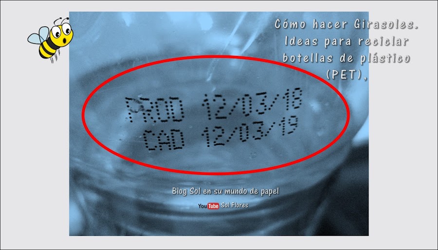 Cómo hacer girasoles con botellas PET | Manualidades