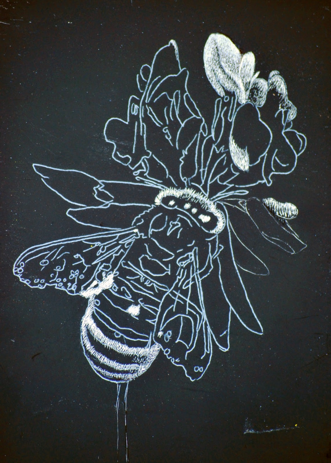 Kate's Classes Scratchboard and Pen & Ink Sertoma (August 2014)