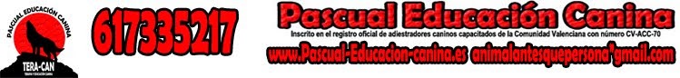Pascual Educación y Adiestramiento Canino en Alicante
