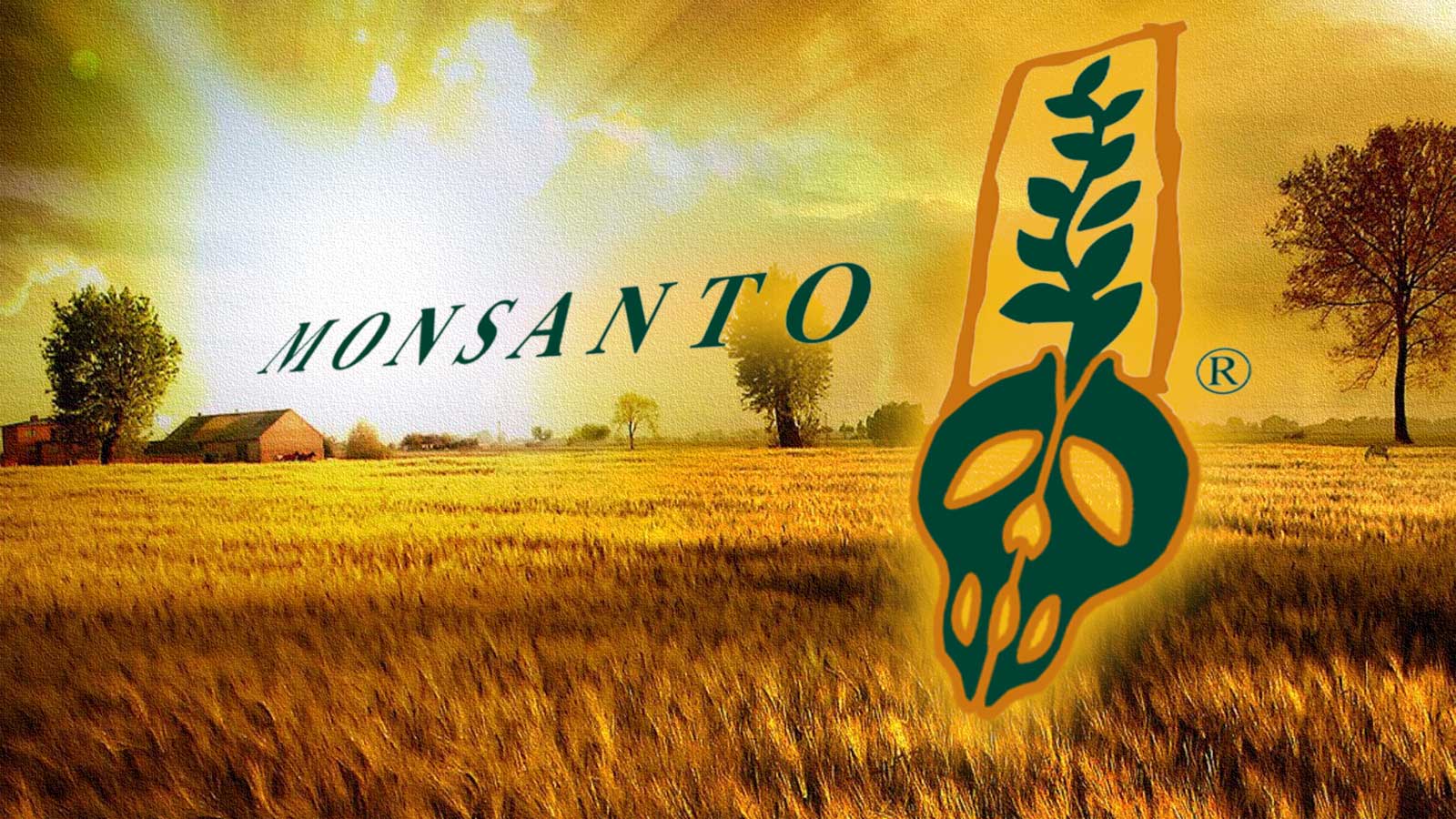 EPA na cama com a Monsanto / Bayer, ocultando estudos que mostram que o glifosato causa câncer