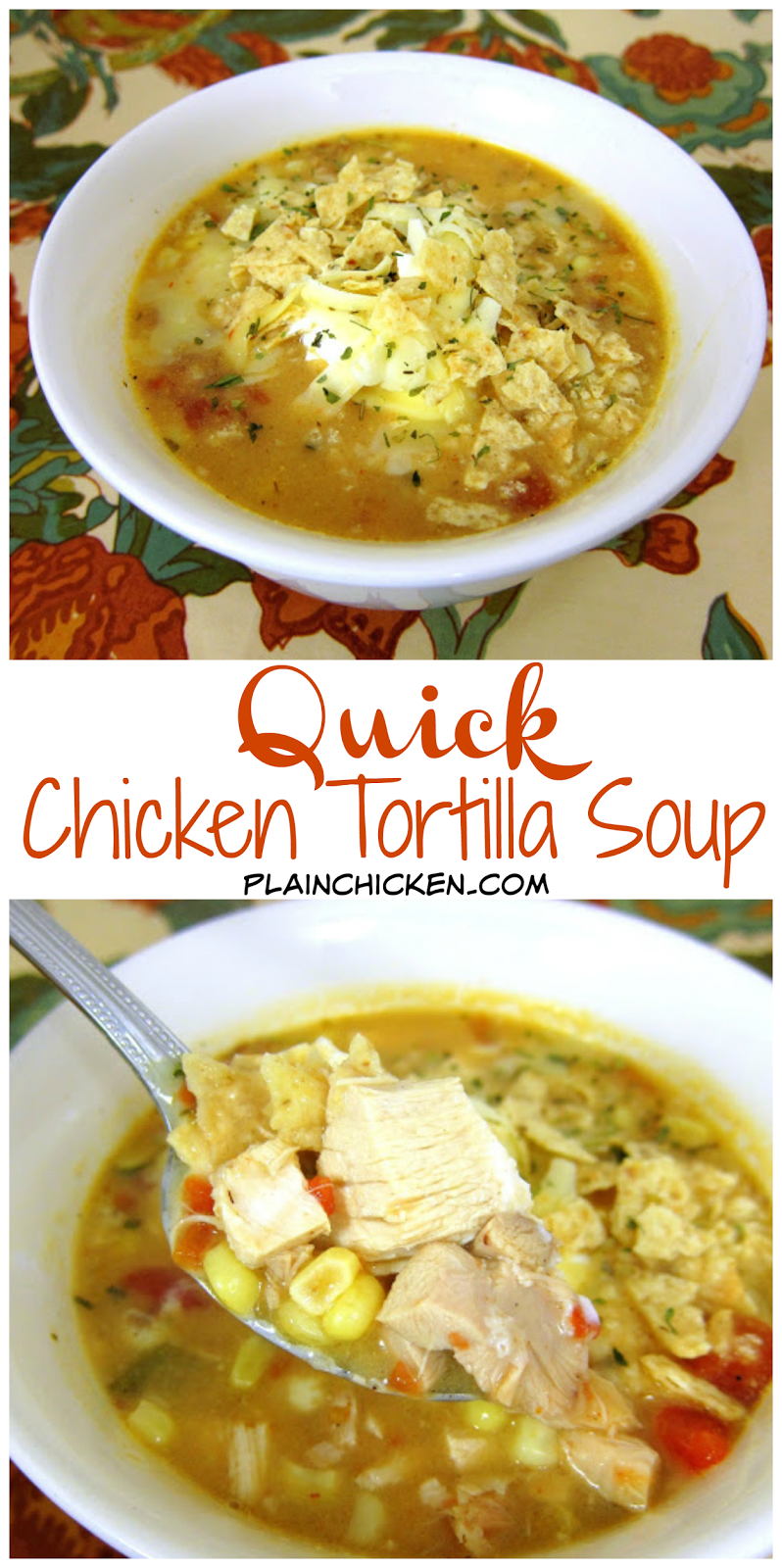 Chicken Tortilla Soup Plain Chicken®