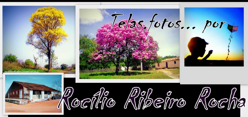 Blog Rocílio Ribeiro Rocha
