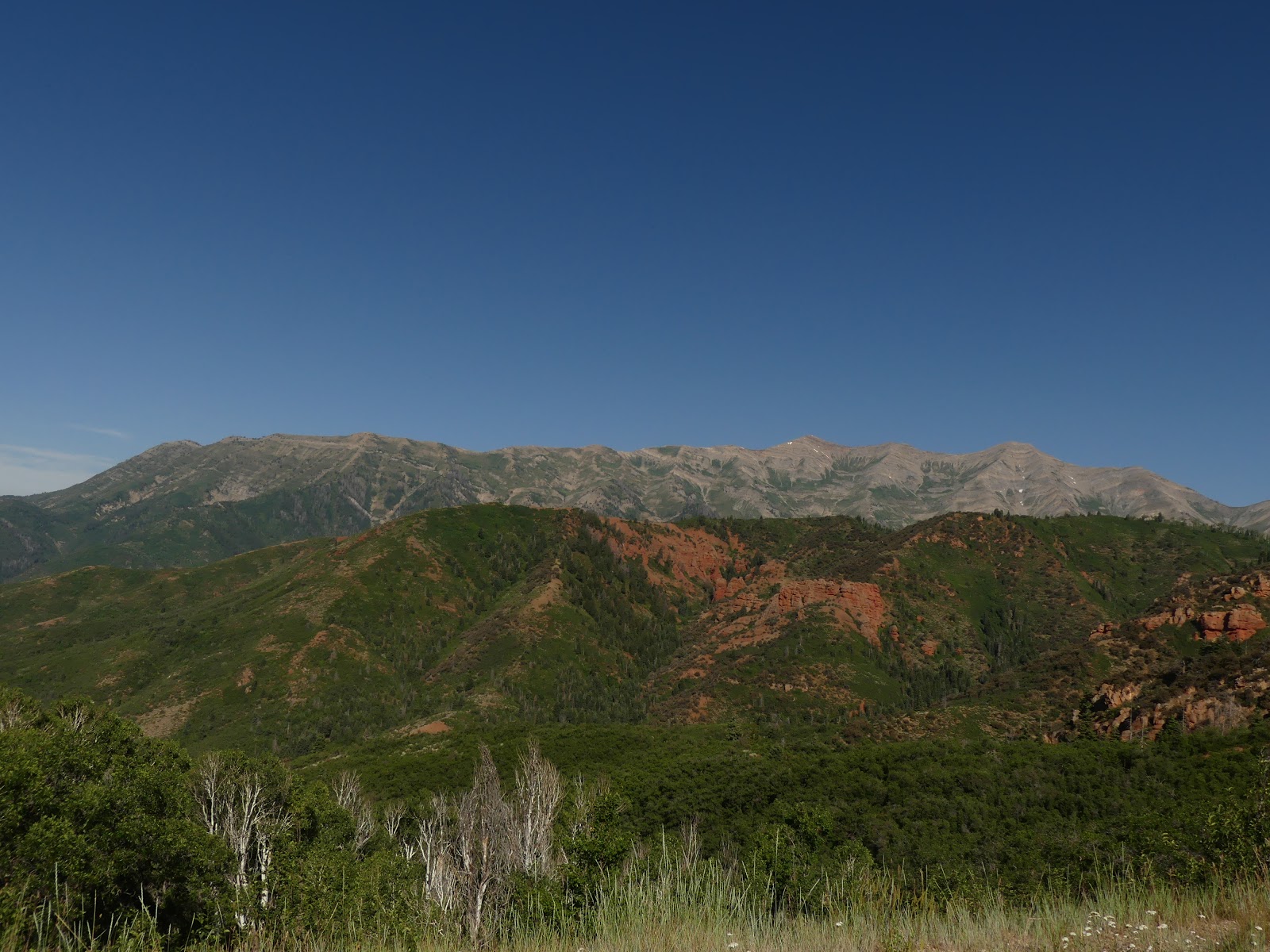 Land Cruising Adventure Nebo Loop Ponderosa Campground Nephi Utah