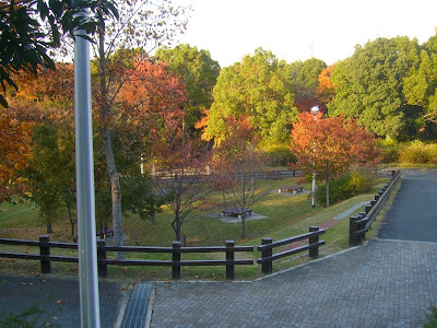 寝屋川公園 紅葉ウォーキング