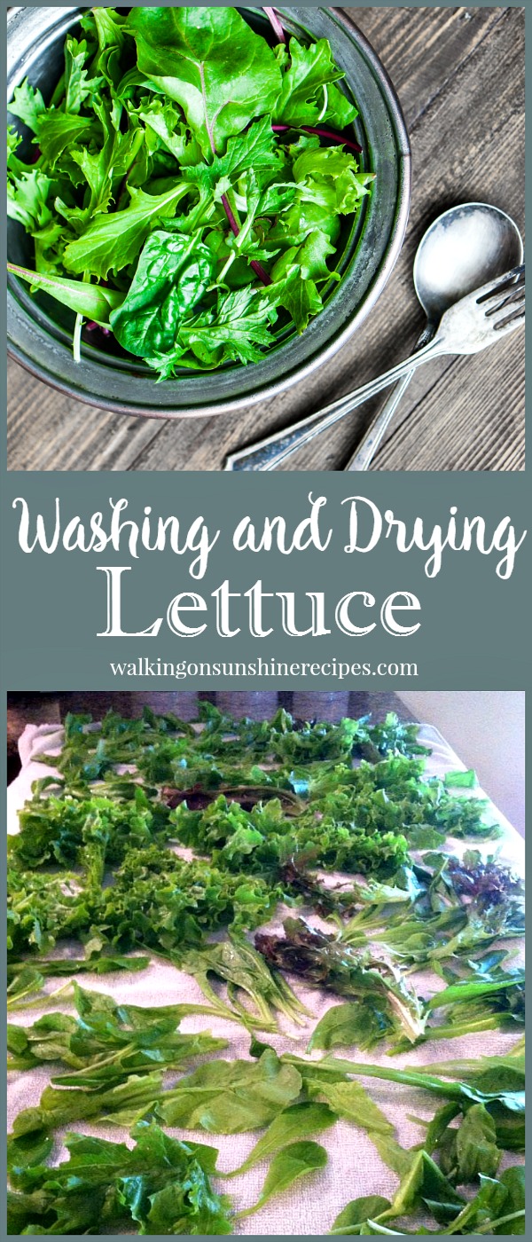 Tip Washing and Drying Lettuce Walking on Sunshine