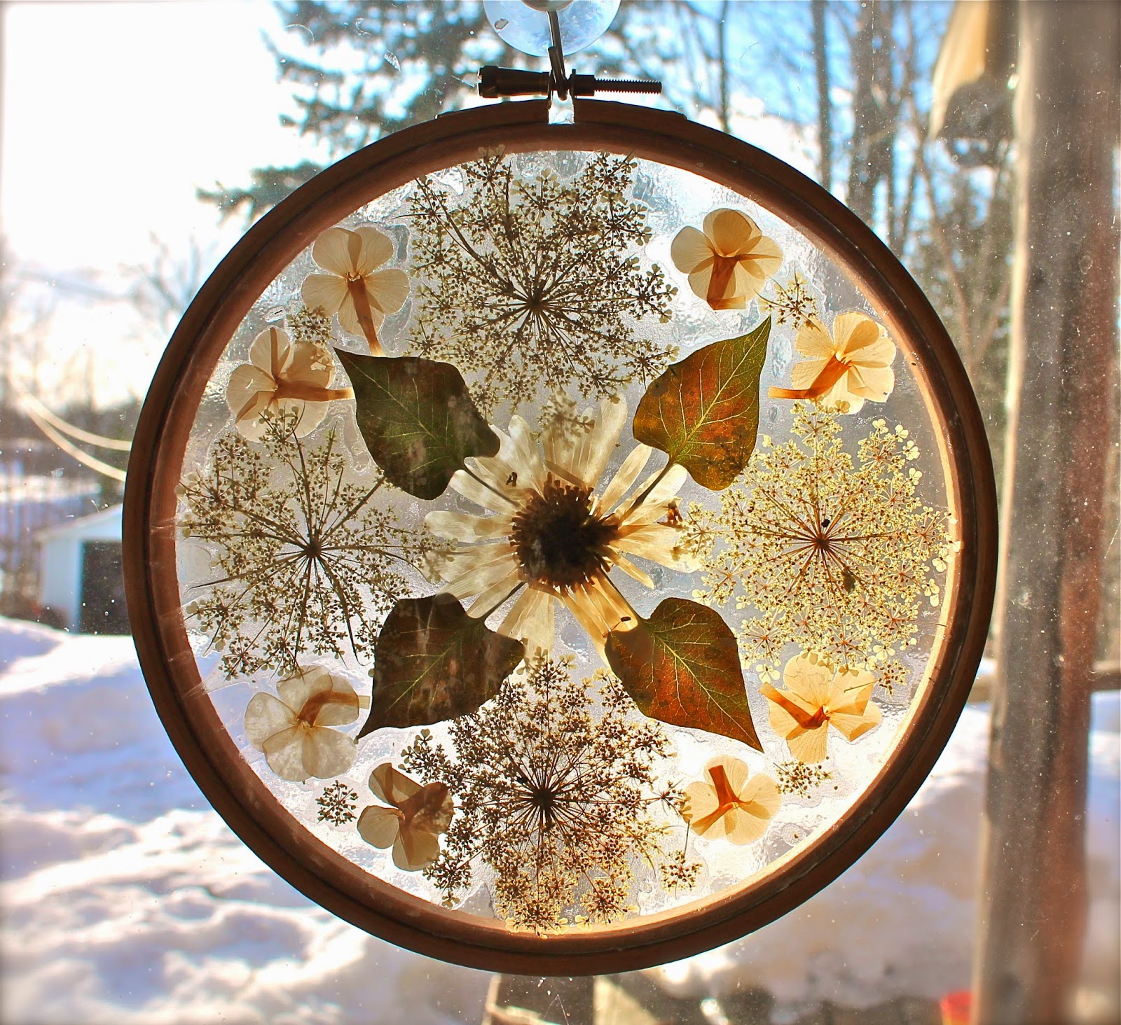 twig-and-toadstool-mandala-sun-catchers