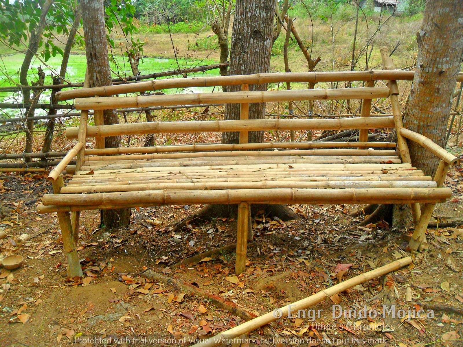 Dince's Chronicles: THE MARAGONDON BAMBOOS