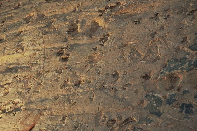 Misteri Dunia Jejak Jejak Dinosaurus di Lark Quarry