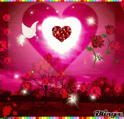 animated profile animation animations blingee hd graphics dont wallpapers related