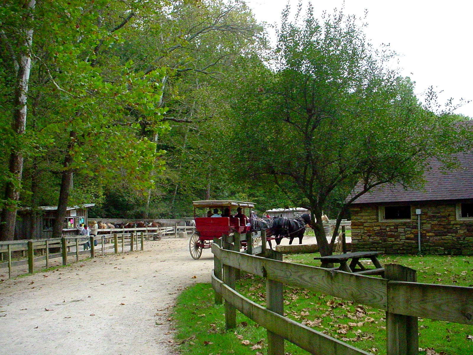 A Visit to Brown County State Park Indiana's "Little Smokies"