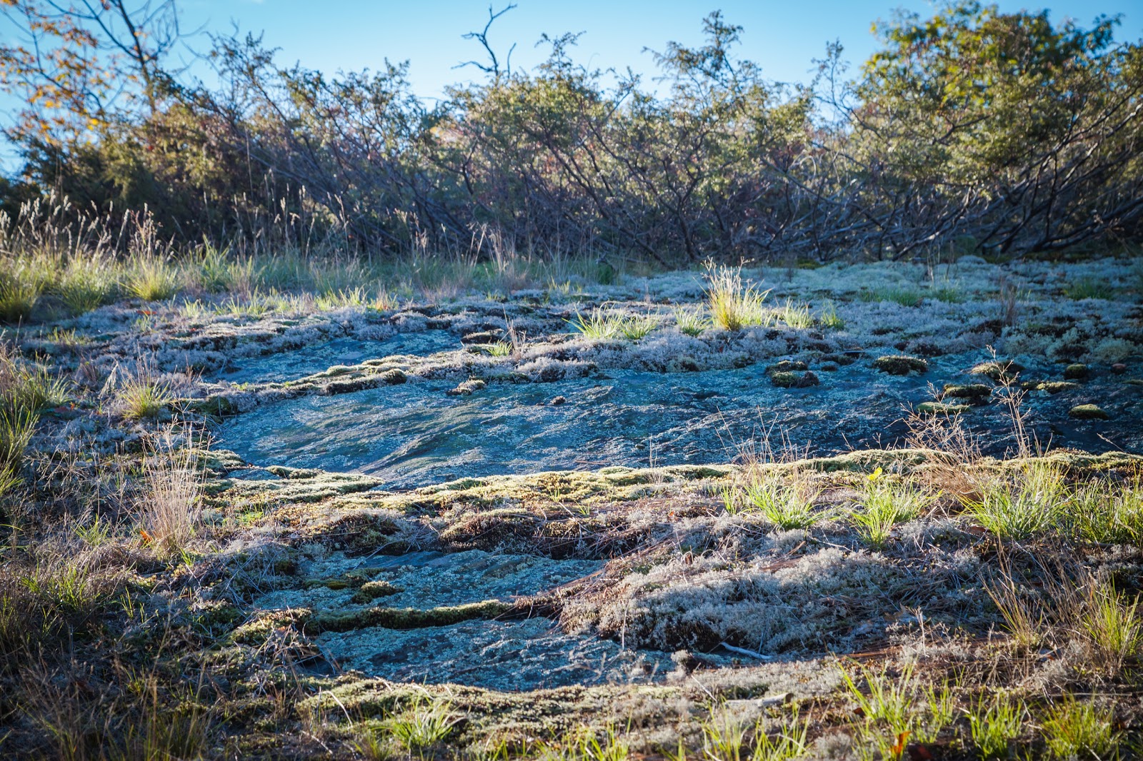 30,000 Islands of Bay The Largest Freshwater Archipelago