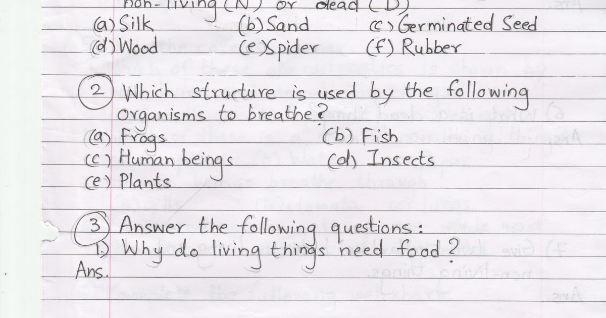 Science worksheets: Science worksheet Chapter1