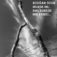 Ugrun Ugrun Gas Altindan Muzik Milliyet Blog