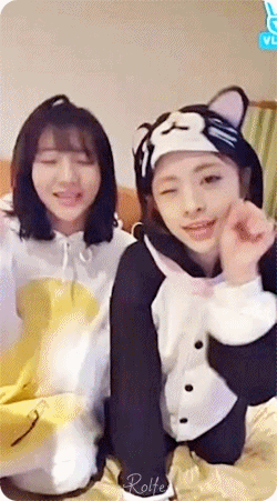 토끼 비니 & 고양이 진이.gif | 인스티즈