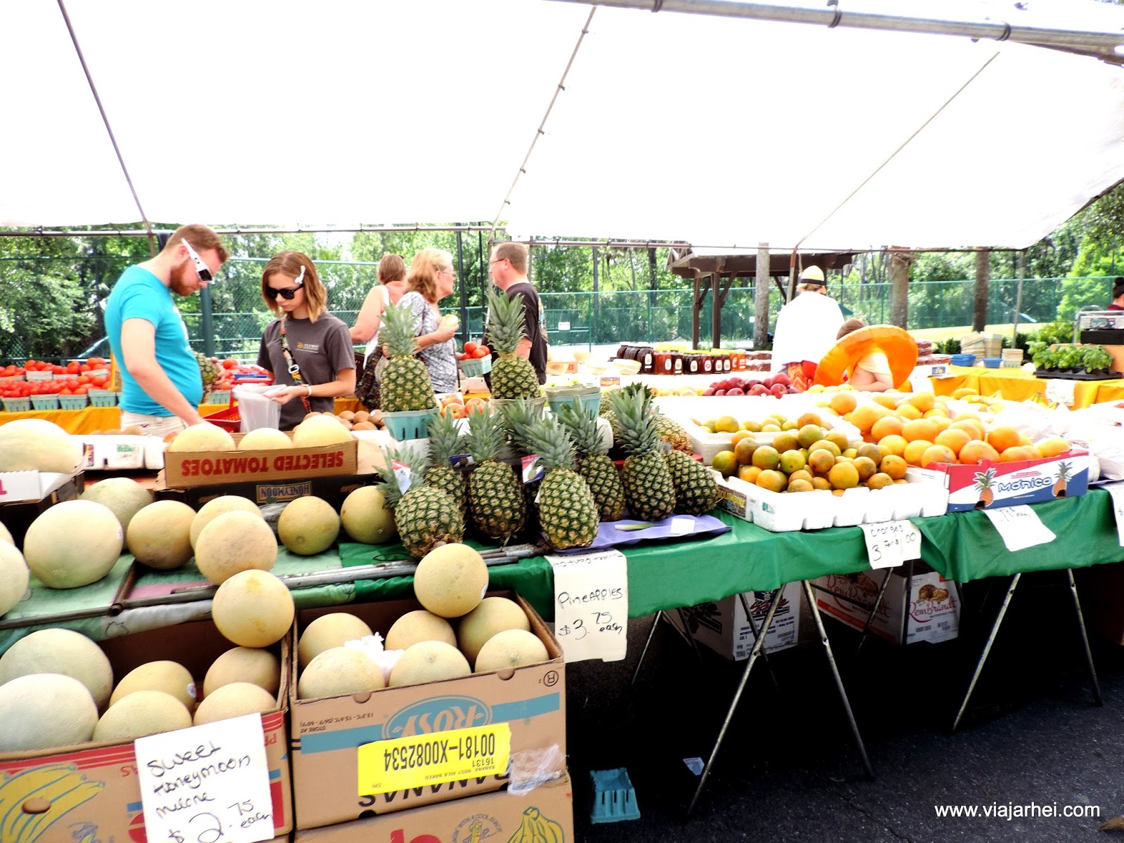 Conhecendo o Farmer's Market de Celebration Orlando Viajar hei