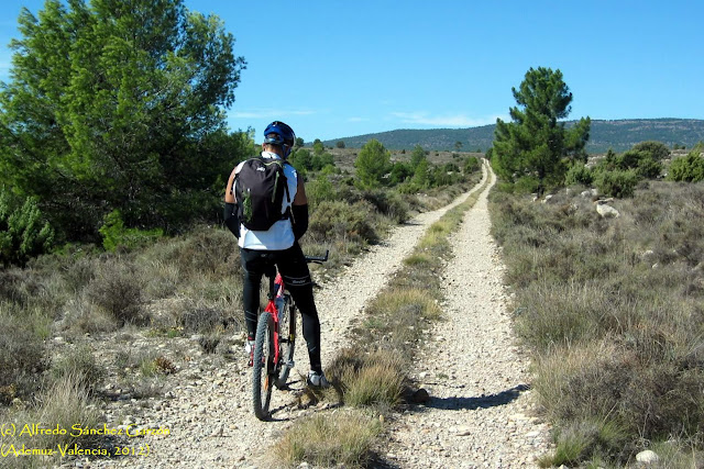 camino-vera-cruz-llano-pinar camino-vera-cruz-llano-pinar