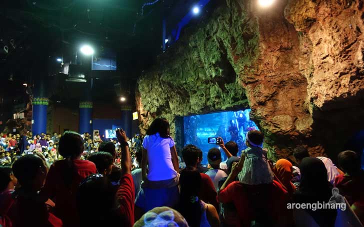 sea world ancol jakarta