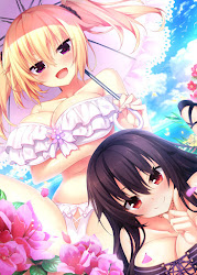 Nora to Oujo to Noraneko Heart