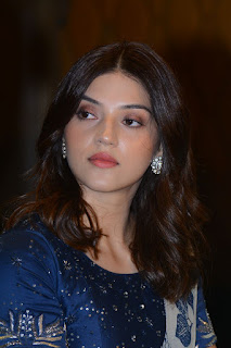 Actress Mehreen Pirzada Atills at Entha Manchivaadavuraa Press Meet Actress Mehreen Pirzada Atills at Entha Manchivaadavuraa Press Meet
