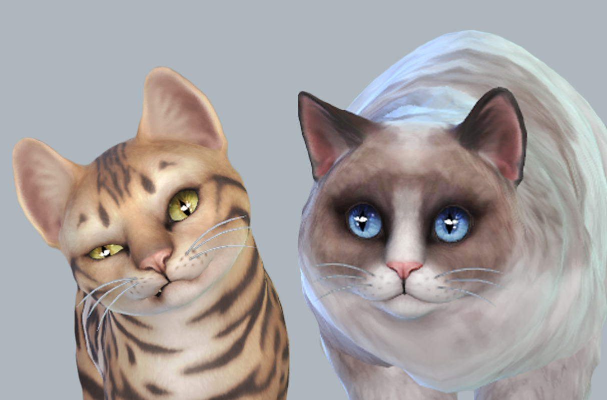 Download Sims Cats And Dogs Download Sims Cats And Dogs