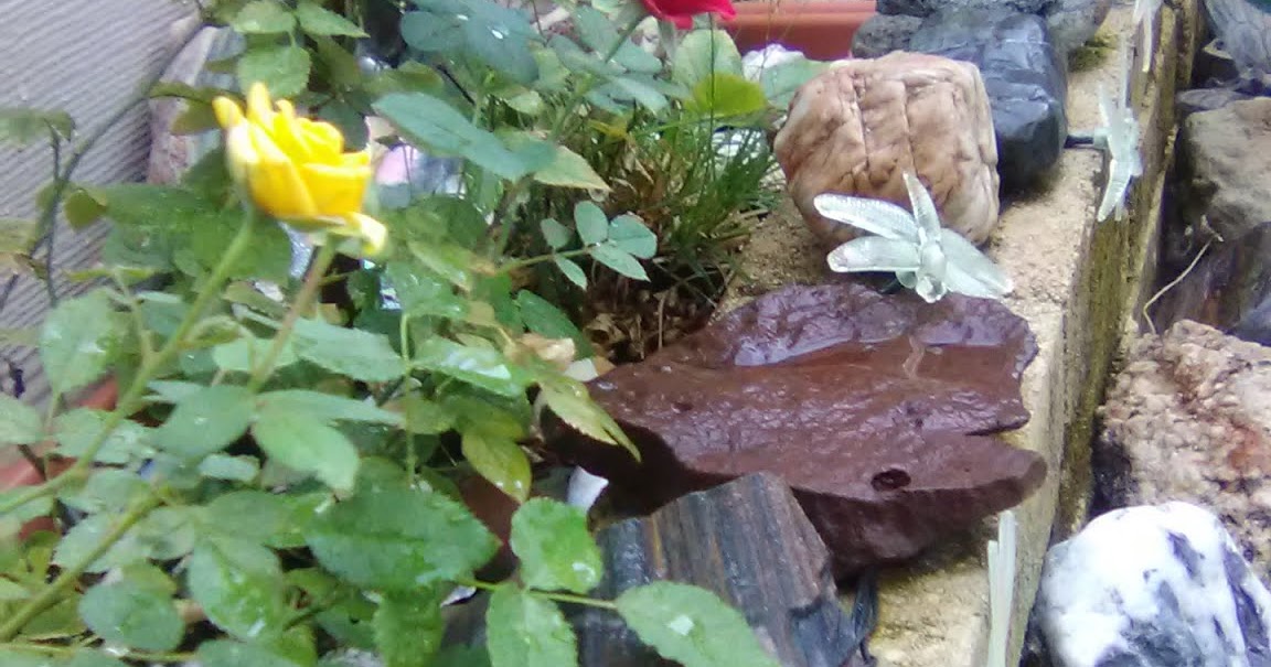 GIS Butterfly Spa Week 3, "Taking my show on the Road"