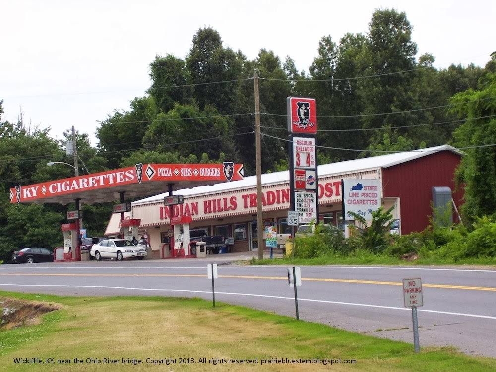 Prairie Bluestem Road Trip through the Ozarks