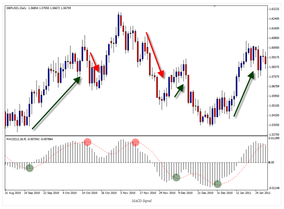 Cara membaca indikator alligator forex
